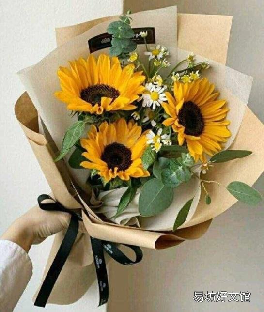高考结束送什么花合适 向日葵的花语和寓意