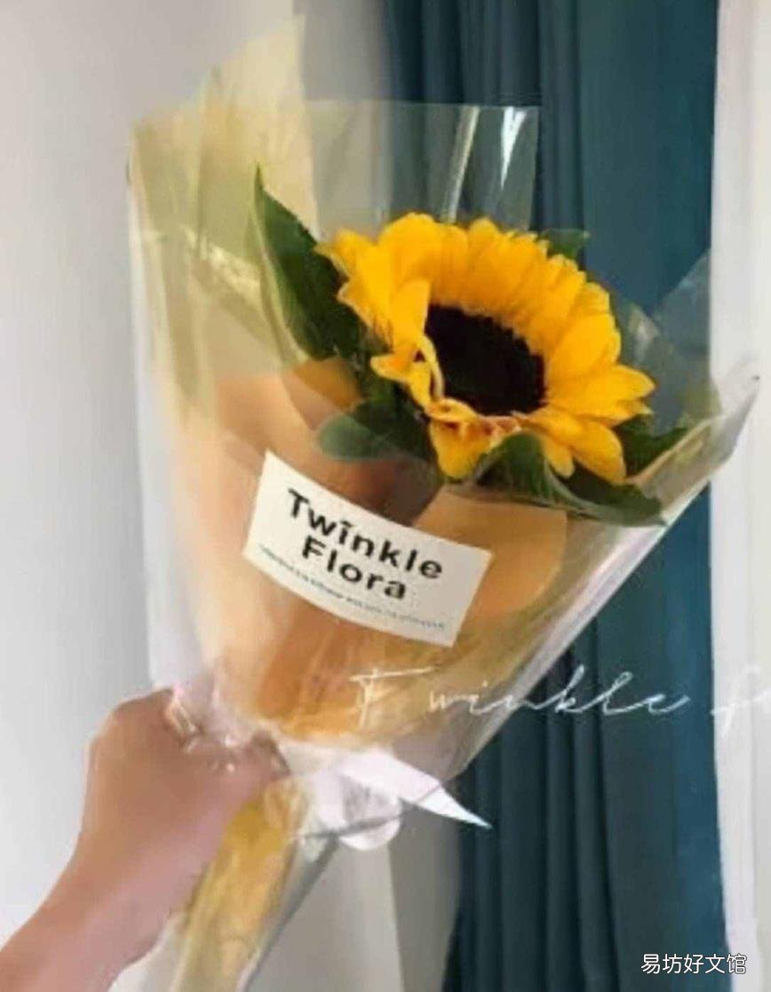 高考结束送什么花合适 向日葵的花语和寓意