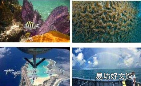 去美国旅游攻略 美国旅游指南