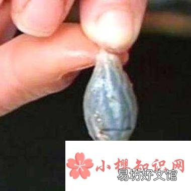 鱼胆的主要危害是什么?