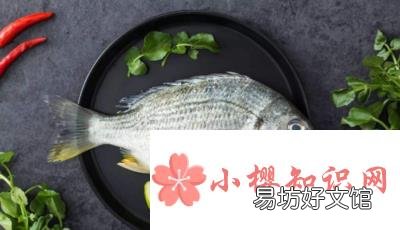 鱼胆的主要危害是什么?