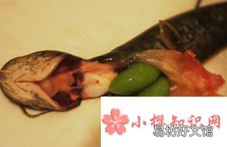 鱼胆的主要危害是什么?