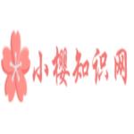 撇點撇橫是什么字？