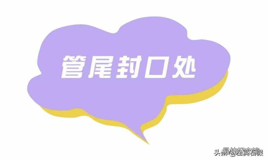 補(bǔ)水啫喱怎么用 補(bǔ)水啫喱