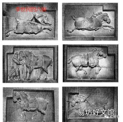 关于马的经典故事 有关马的故事