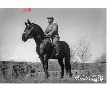 关于马的经典故事 有关马的故事