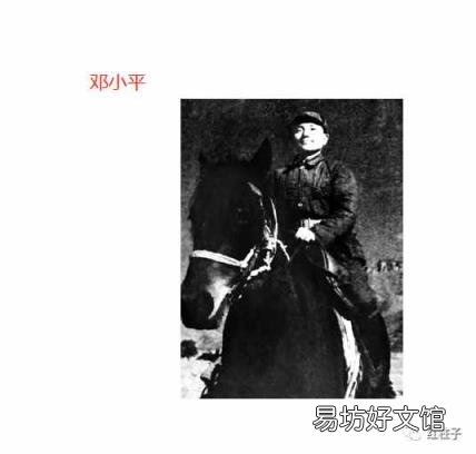 关于马的经典故事 有关马的故事
