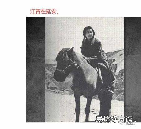 关于马的经典故事 有关马的故事