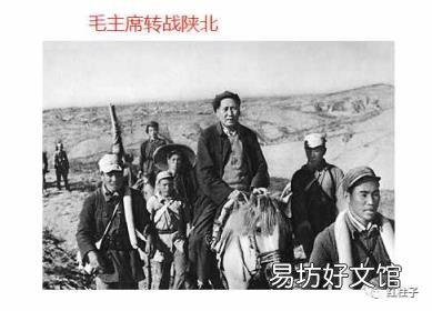 关于马的经典故事 有关马的故事