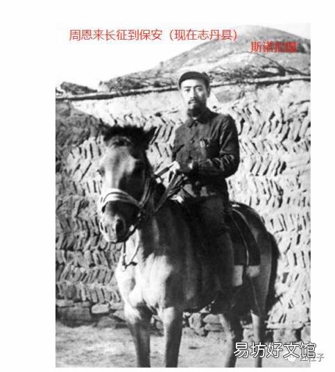 关于马的经典故事 有关马的故事