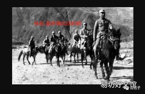 关于马的经典故事 有关马的故事