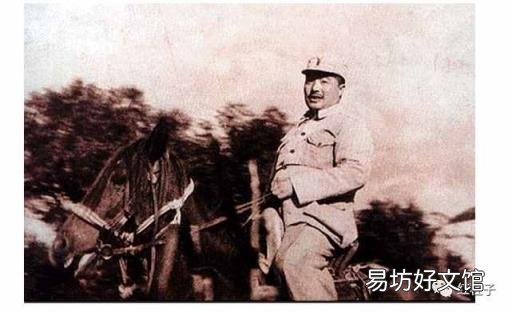关于马的经典故事 有关马的故事