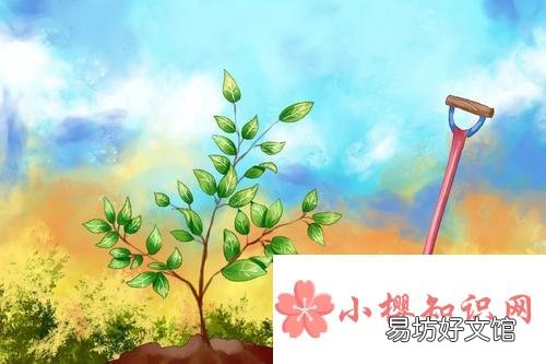 關(guān)于植樹節(jié)的名言有哪些？