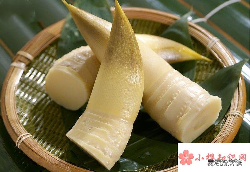 竹筍要焯水嗎？新鮮竹筍怎么處理？