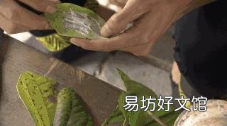 吃槟榔为啥会出汗 吃槟榔为什么会出汗