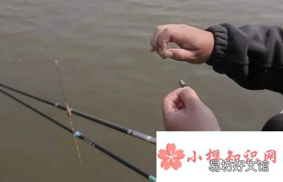 铅坠和浮漂的最佳搭配是什么?