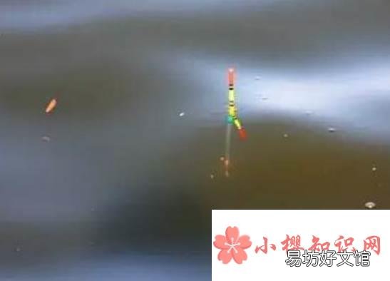铅坠和浮漂的最佳搭配是什么?