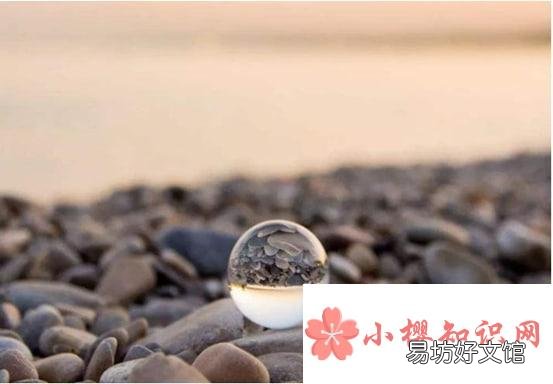 怎么做一个有教养的人