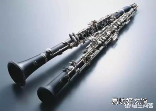 萨克斯和黑管哪个好学 黑管好学吗