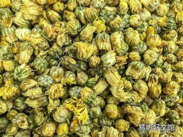 菊花茶的功效与作用及禁忌 菊花茶解药吗
