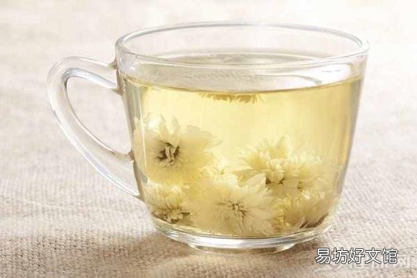 菊花茶的功效与作用及禁忌 菊花茶解药吗