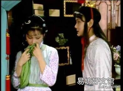 红楼梦杨幂版演员表 红楼梦杨幂