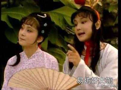 红楼梦杨幂版演员表 红楼梦杨幂