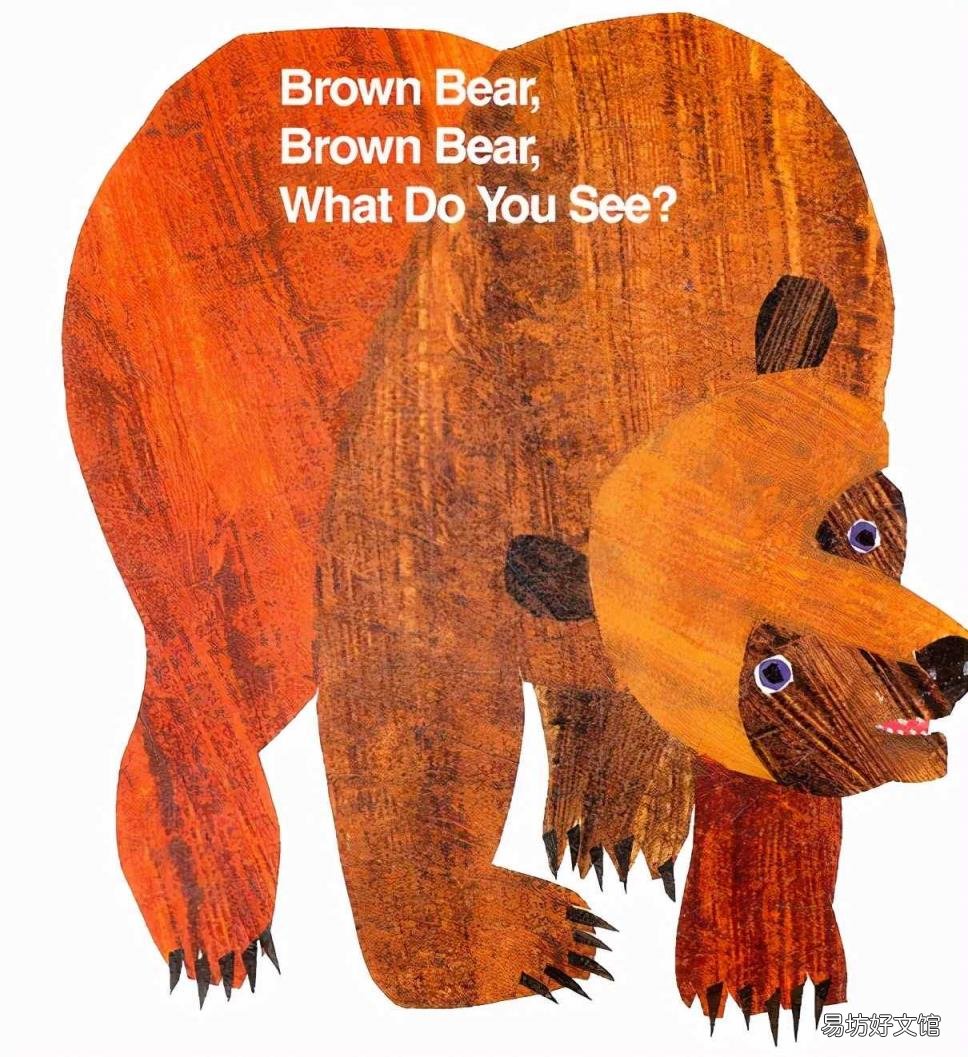 bear怎么发音 bear的音标