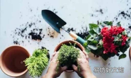 制取氨气的 氨气的性质