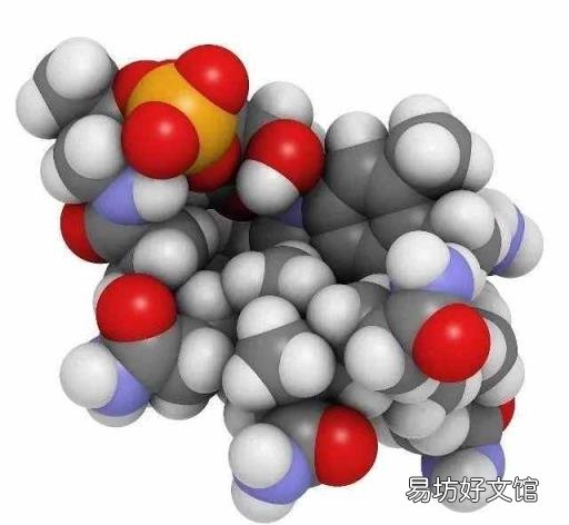 制取氨气的 氨气的性质