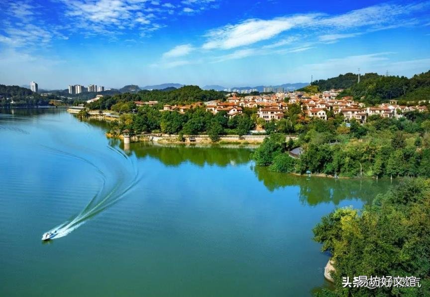 海洋生物化石 植物活化石