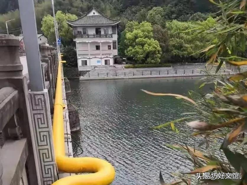 海洋生物化石 植物活化石