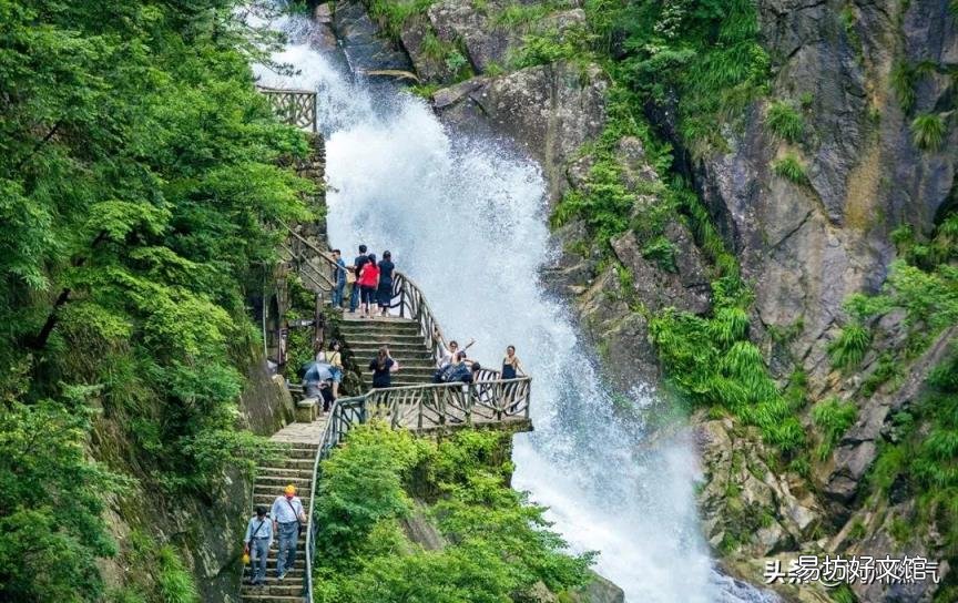 海洋生物化石 植物活化石