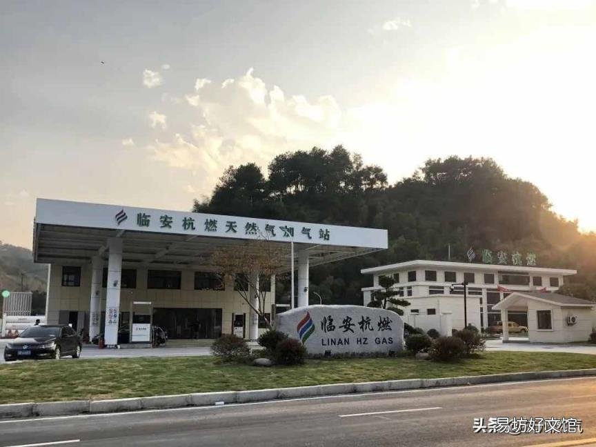 海洋生物化石 植物活化石
