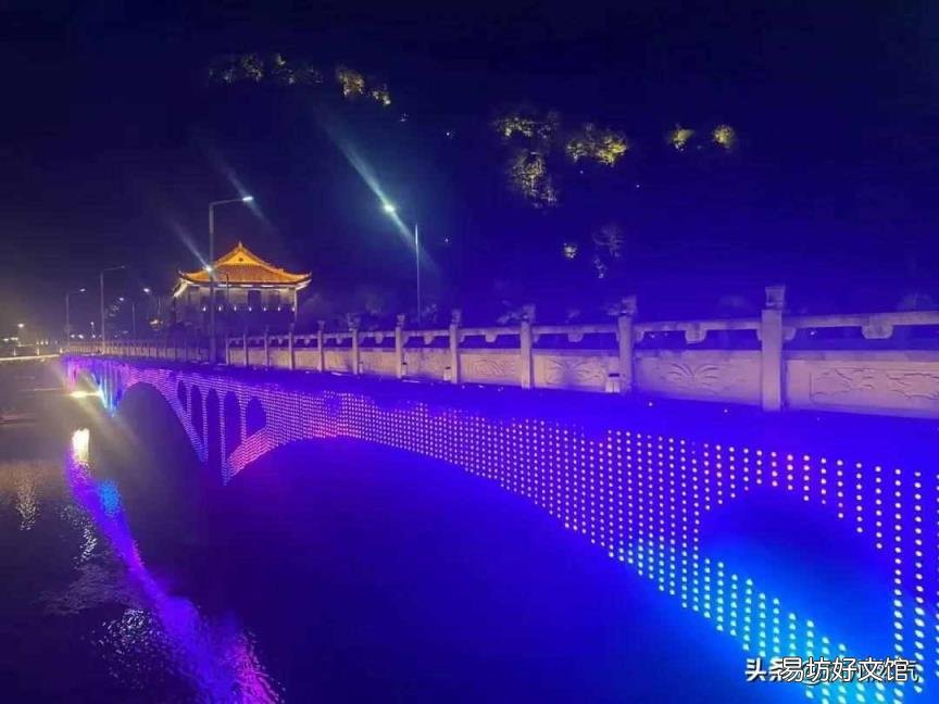 海洋生物化石 植物活化石