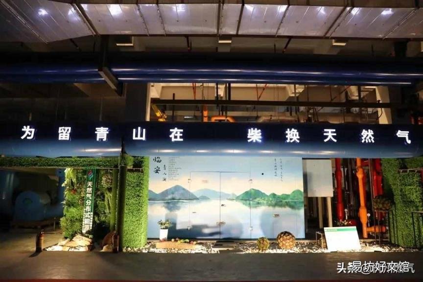 海洋生物化石 植物活化石