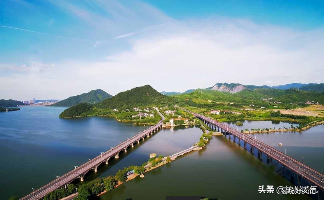 海洋生物化石 植物活化石