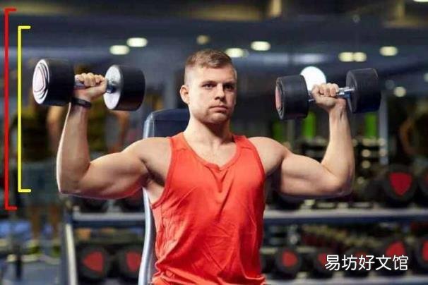 三角肌中束王牌动作 三角肌中束