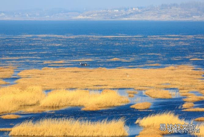十二种气候类型及特点 亚热带季风性湿润气候