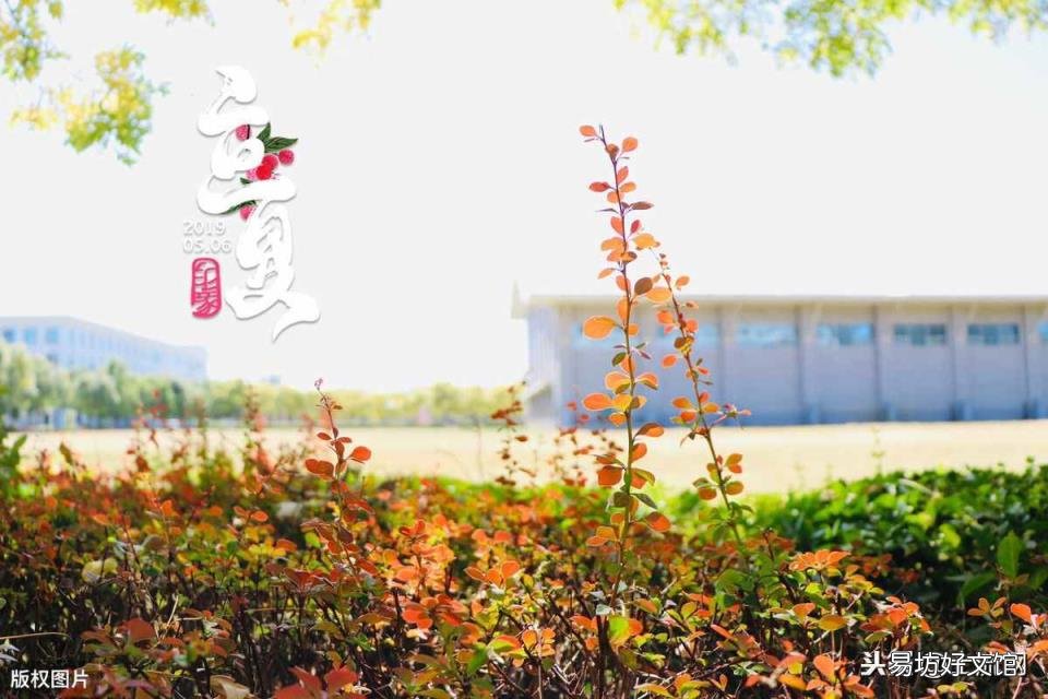 2020年三伏天从什么时候开始 2020年入伏从哪一天开始
