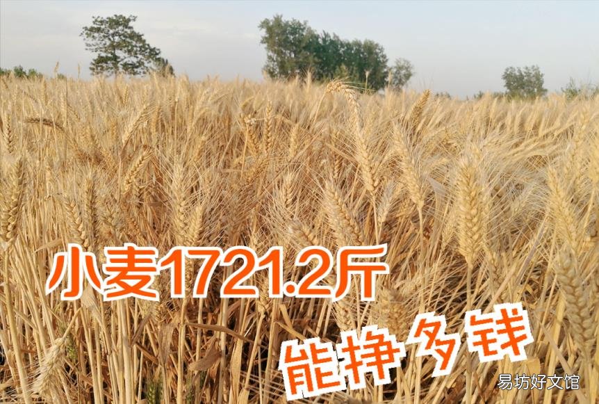 净利润公式怎么算 净利润怎么算