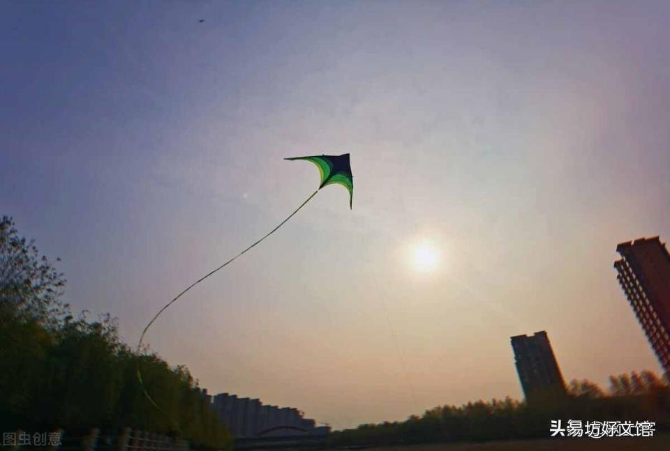 解决柳絮的最佳办法 柳絮是柳树的什么