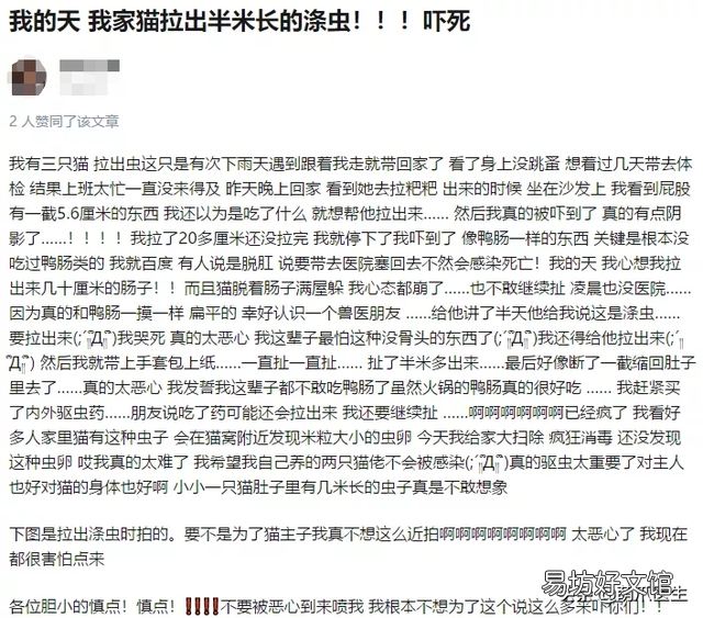 猫身上掉下的绦虫图片(猫身上掉下的绦虫怎么处理)