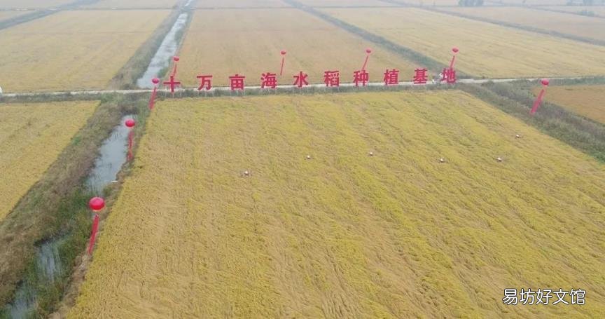 人固有一死或重于泰山是谁说的 人固有一死或重于泰山或轻于鸿毛的意思