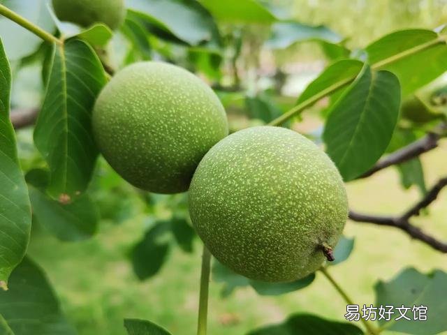 离婚了双方都要房子该怎么分?