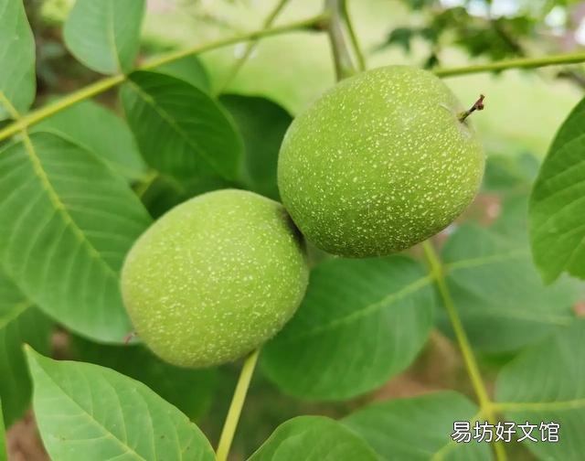离婚了双方都要房子该怎么分?