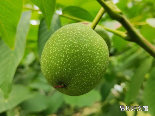 离婚了双方都要房子该怎么分?