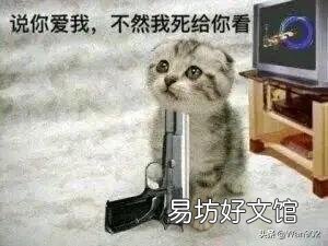 你家老公平时会帮你洗你的内衣吗？