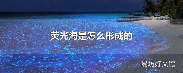 荧光海是怎么形成的