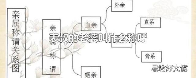 表叔的老婆叫什么称呼